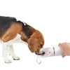 Lifestyle 4 Pets 2-in-1 Stainless Drinking Bottle 400 ml /14 oz