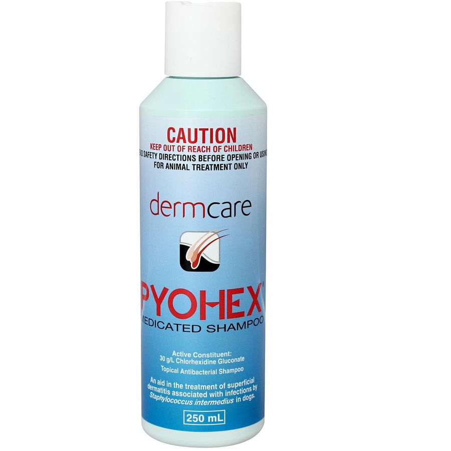 Pyohex Medicated Shampoo 250mL