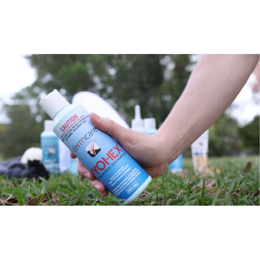 Pyohex Medicated Shampoo 250mL
