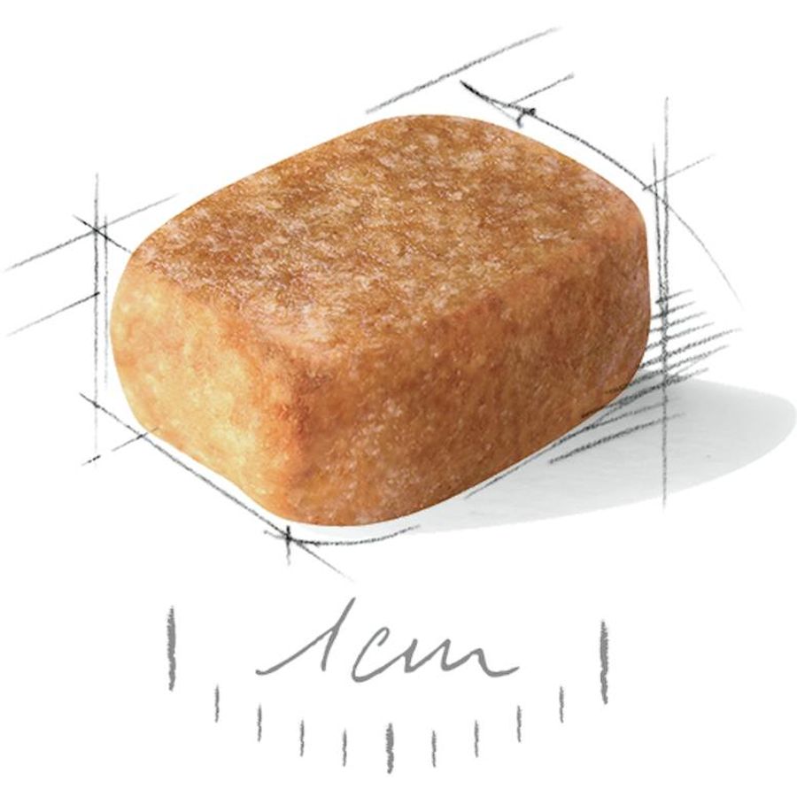 Royal Canin Chihuahua Adult Dog Dry Food 1.5kg