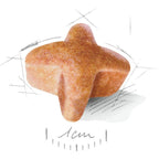 Royal Canin German Shepherd Adult Dog Dry Food 3kg