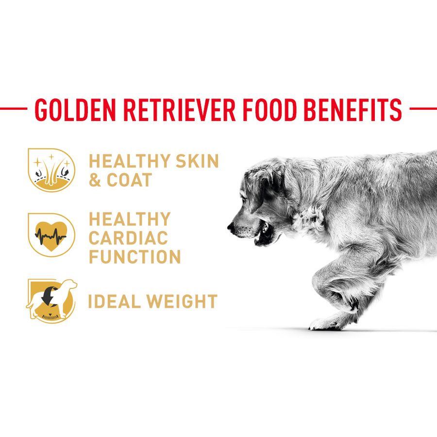 Royal Canin Golden Retriever Adult Dog Dry Food 12kg