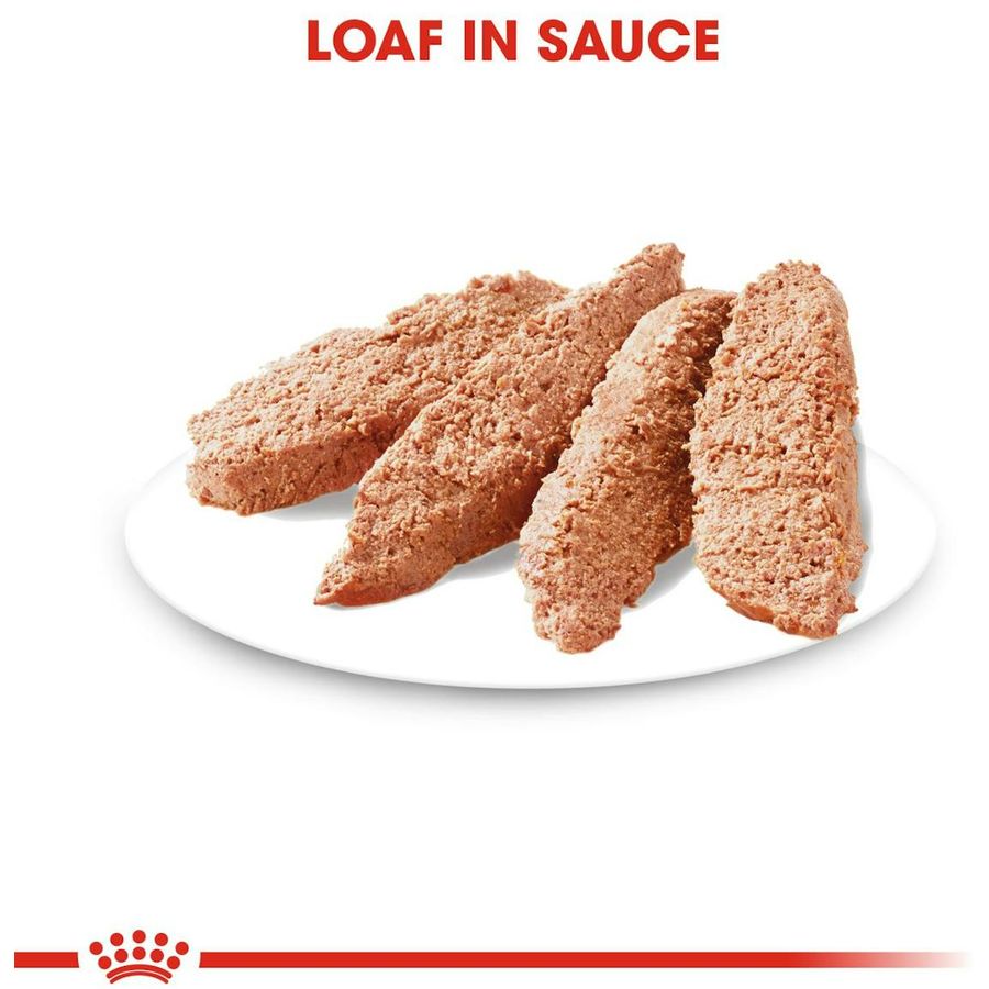 Royal Canin Light Weight Care Dog Wet Food 85g