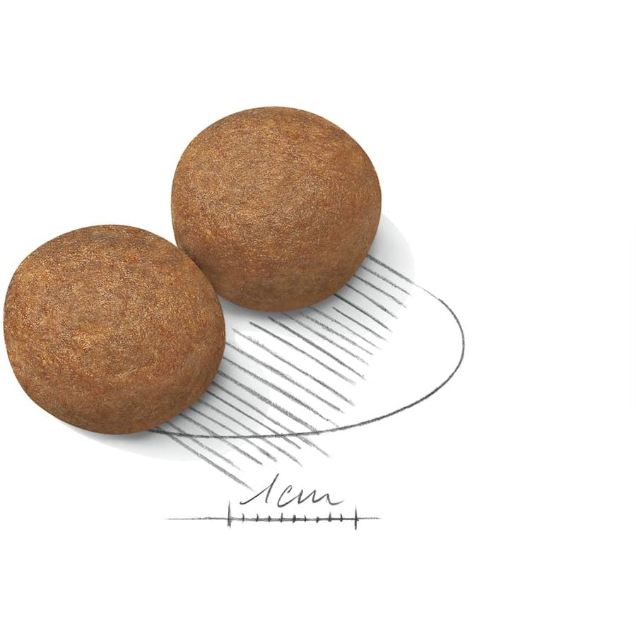 Royal Canin Maxi Adult Dog Dry Food 4kg