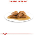 Royal Canin Maxi Adult Dog Wet Food 140g