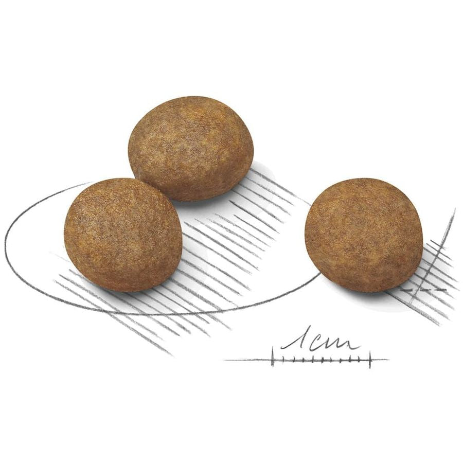 Royal Canin Maxi Puppy Dry Food 10kg