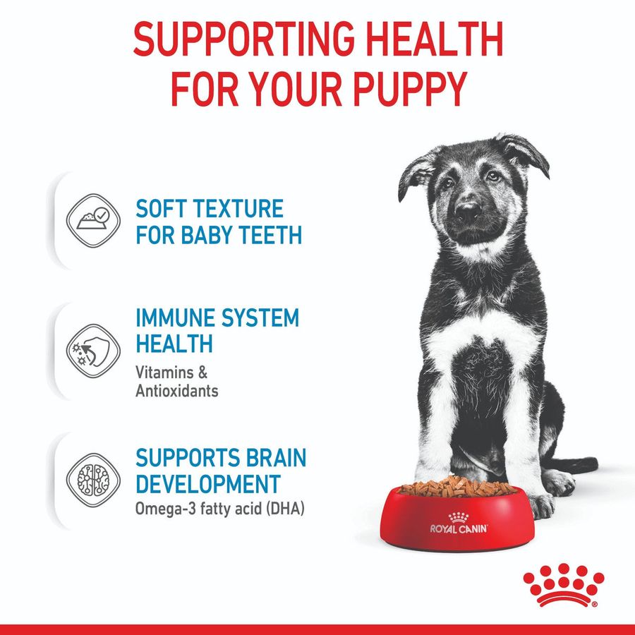 Royal Canin Maxi Puppy Wet Food 140g