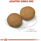 Royal Canin Medium Adult Dog Dry Food 10kg