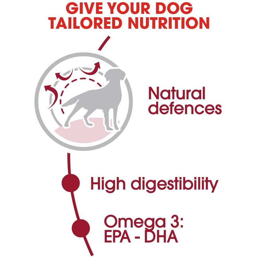 Royal Canin Medium Adult Dog Dry Food 10kg