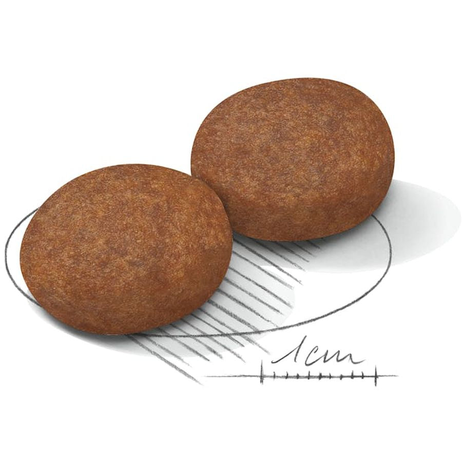 Royal Canin Medium Adult 7+ Dog Dry Food 10kg