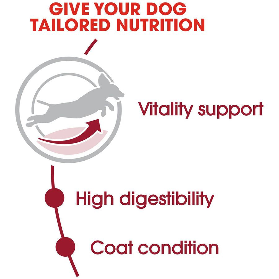 Royal Canin Medium Adult 7+ Dog Dry Food 10kg