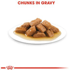 Royal Canin Medium Adult Dog Wet Food 140g