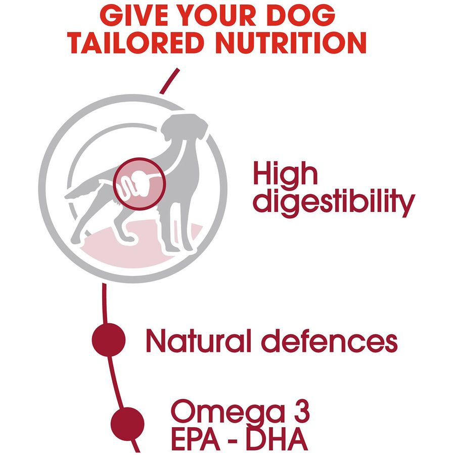 Royal Canin Medium Adult Dog Wet Food 140g