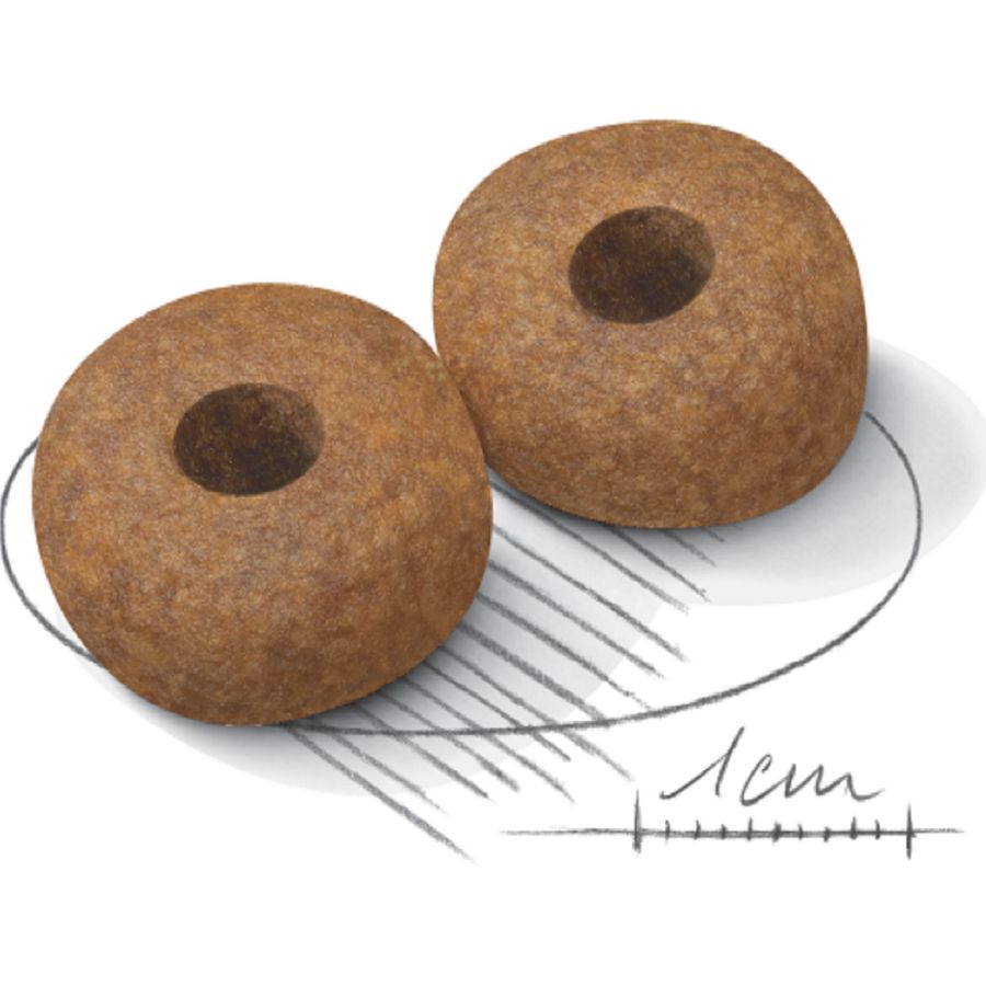 Royal Canin Medium Ageing 10+ Senior Dog Dry Food 3kg