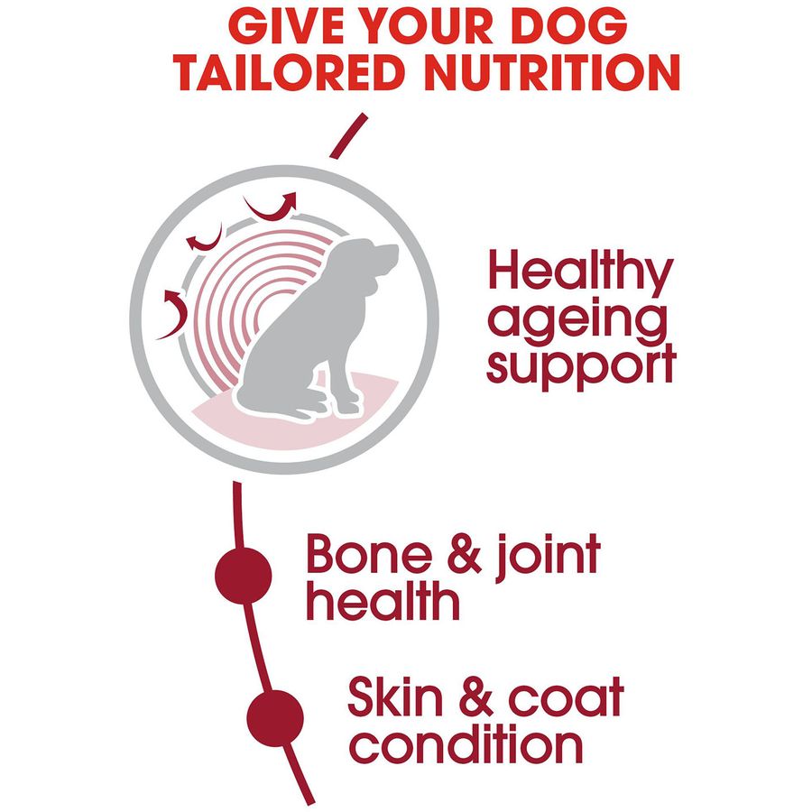 Royal Canin Medium Ageing 10+ Senior Dog Dry Food 3kg