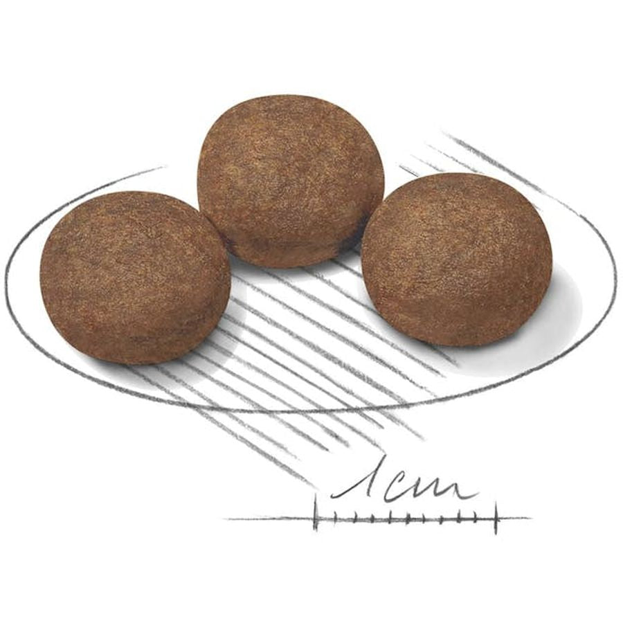 Royal Canin Medium Puppy Dry Food 4kg