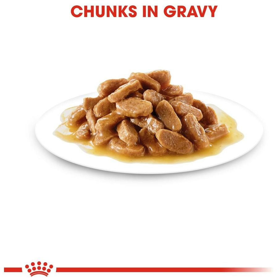 Royal Canin Medium Puppy Wet Food 140g