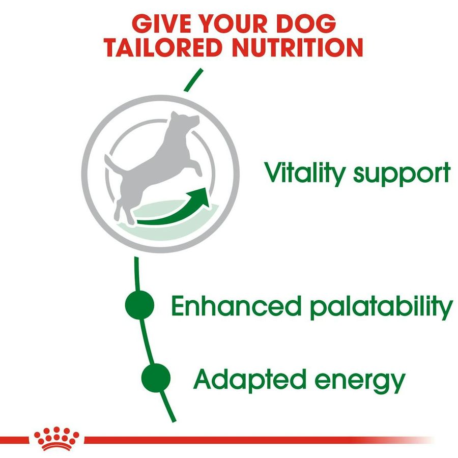 Royal Canin Mini Adult 8+ Dog Dry Food 2kg