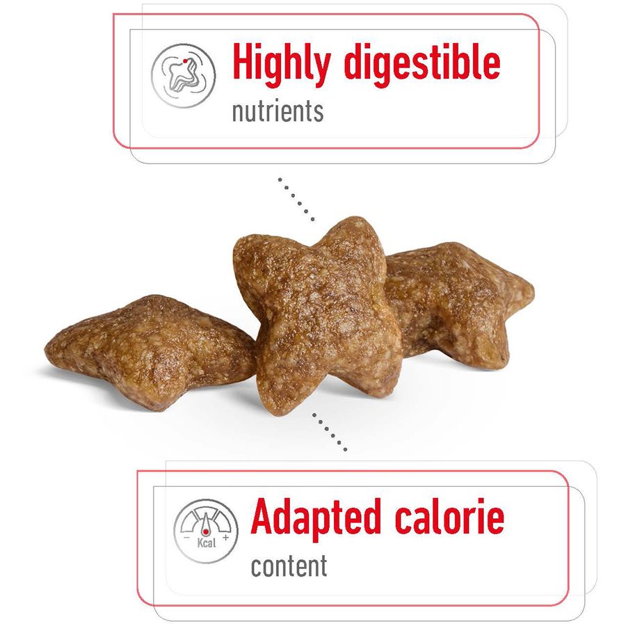 Royal Canin Mini Adult Dog Dry Food 8kg