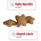 Royal Canin Mini Adult Dog Dry Food 8kg