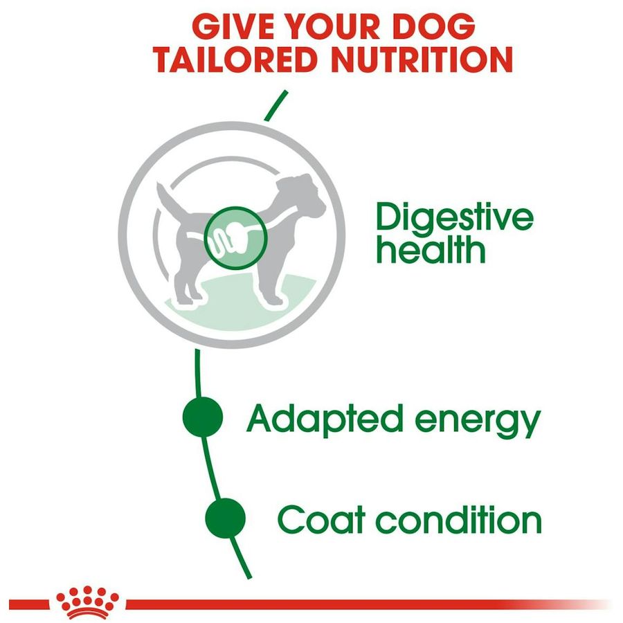 Royal Canin Mini Adult Dog Wet Food 85g