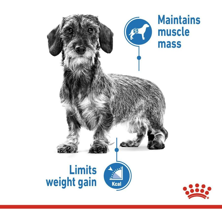 Royal Canin Mini Light Weight Care Adult Dog Dry Food 3kg