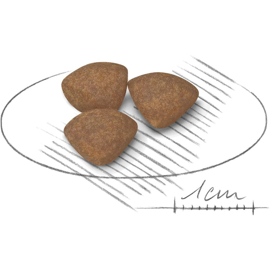 Royal Canin Mini Puppy Dry Food 2kg