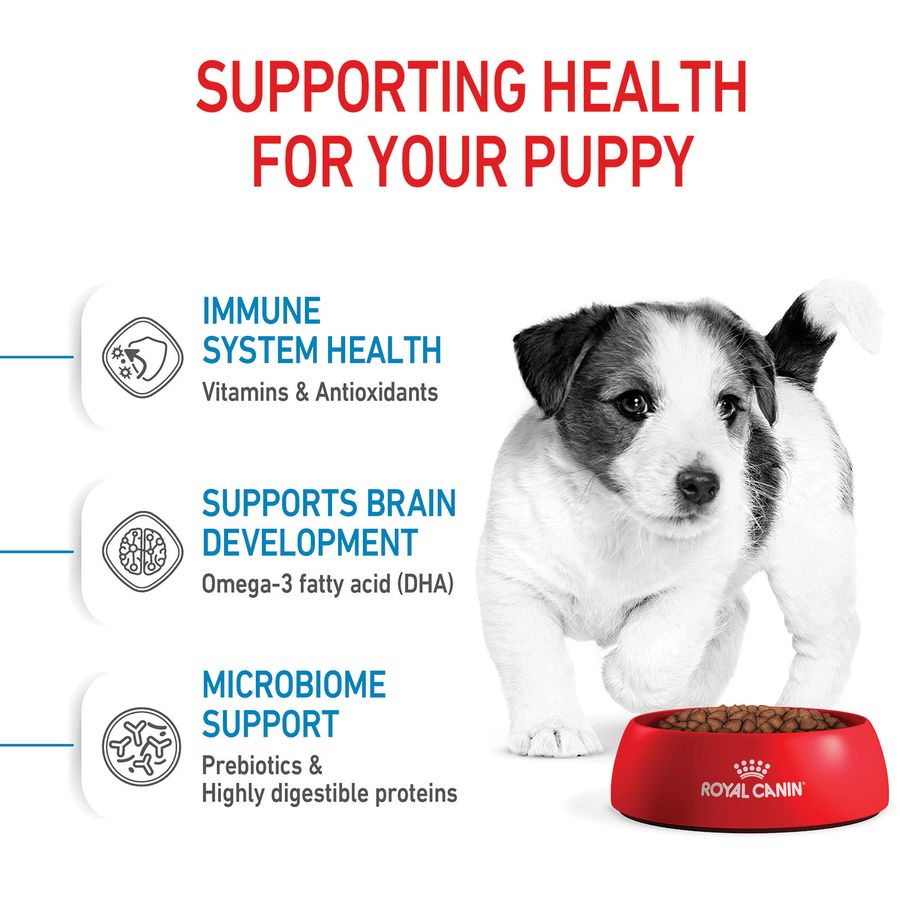 Royal Canin Mini Puppy Dry Food 2kg