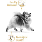 Royal Canin Pomeranian Adult Dog Dry Food 1.5kg