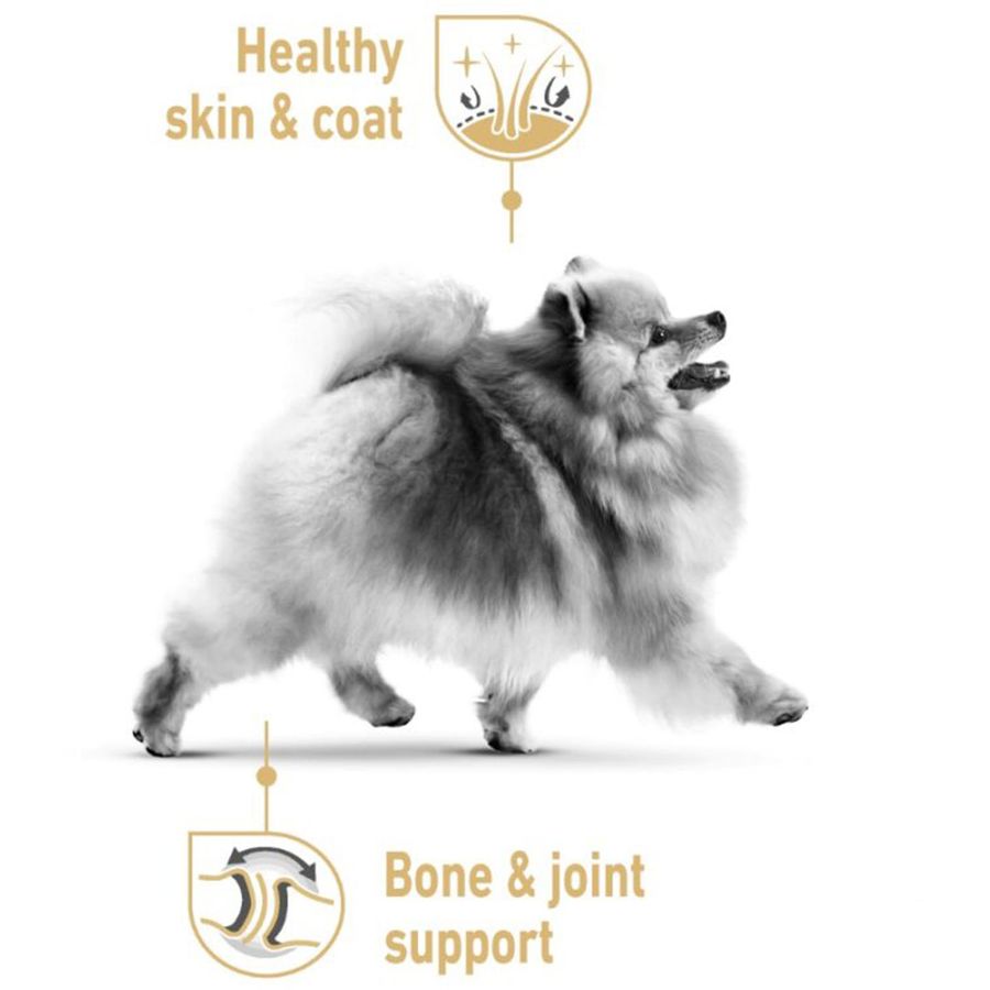 Royal Canin Pomeranian Adult Dog Dry Food 1.5kg