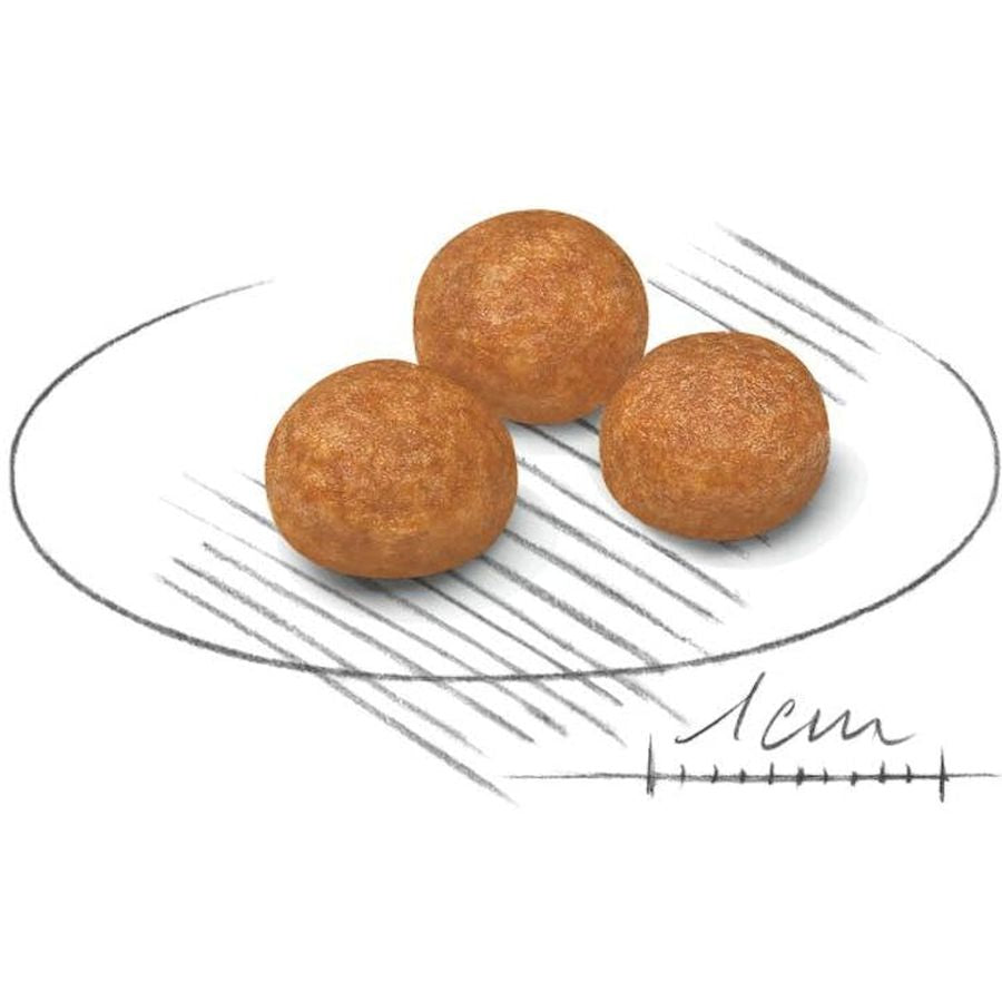 Royal Canin XS Adult Dog Dry Food 1.5kg