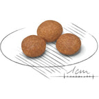 Royal Canin XS Adult 8+ Dog Dry Food 1.5kg