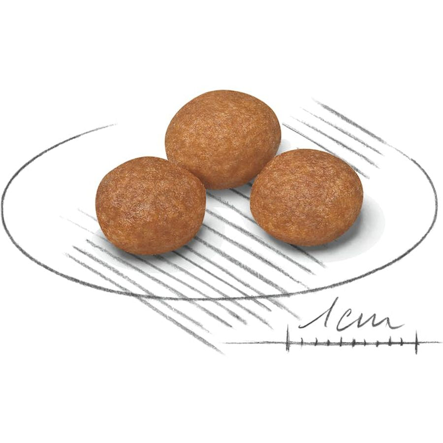 Royal Canin XS Adult 8+ Dog Dry Food 1.5kg