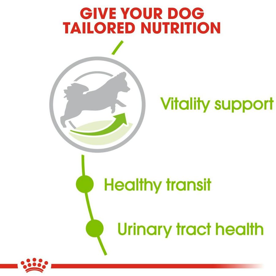 Royal Canin XS Adult 8+ Dog Dry Food 1.5kg