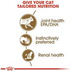 Royal Canin Ageing 12+ Gravy Senior Cat Wet Food 85g