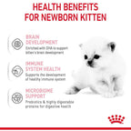 Royal Canin Babycat Milk Replacer 300g