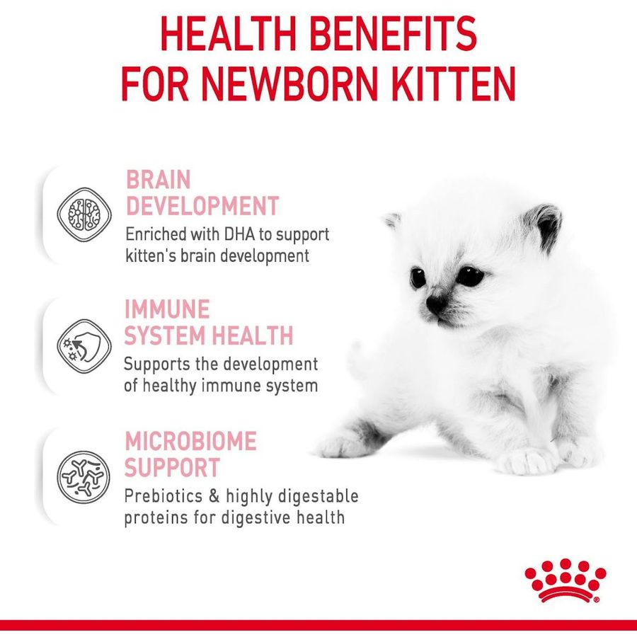 Royal Canin Babycat Milk Replacer 300g