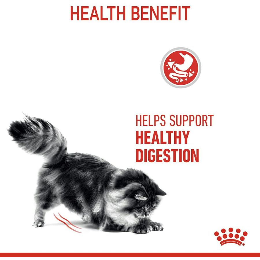 Royal Canin Digestive Care Adult Cat Dry Food 2kg