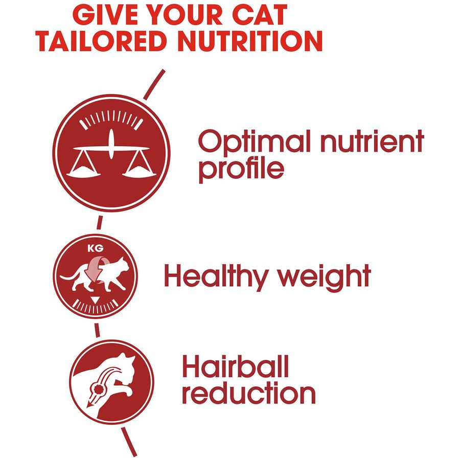 Royal Canin Fit 32 Adult Cat Dry Food 2kg