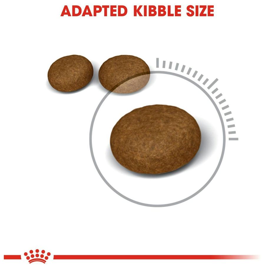 Royal Canin Hair & Skin Adult Cat Dry Food 4kg