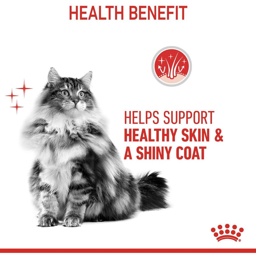 Royal Canin Hair & Skin Adult Cat Dry Food 4kg