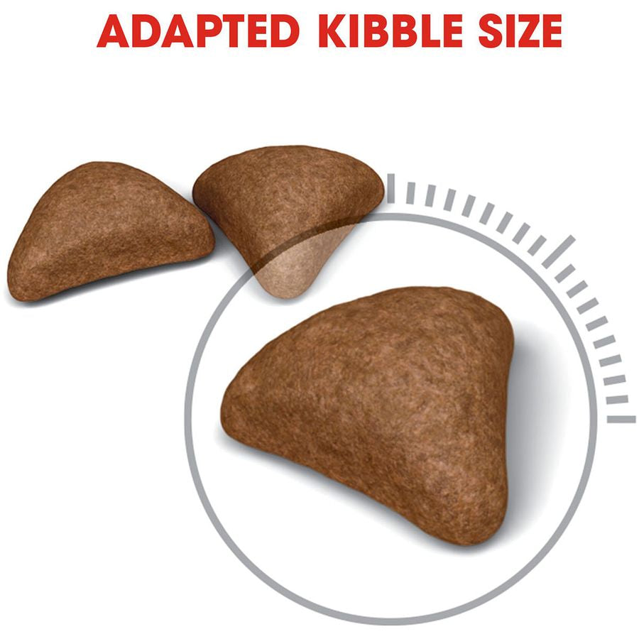 Royal Canin Hairball Care Adult Cat Dry Food 2kg