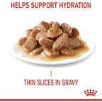 Royal Canin Hairball Gravy Adult Cat Wet Food 85g