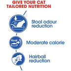 Royal Canin Indoor 27 Adult Cat Dry Food 10kg