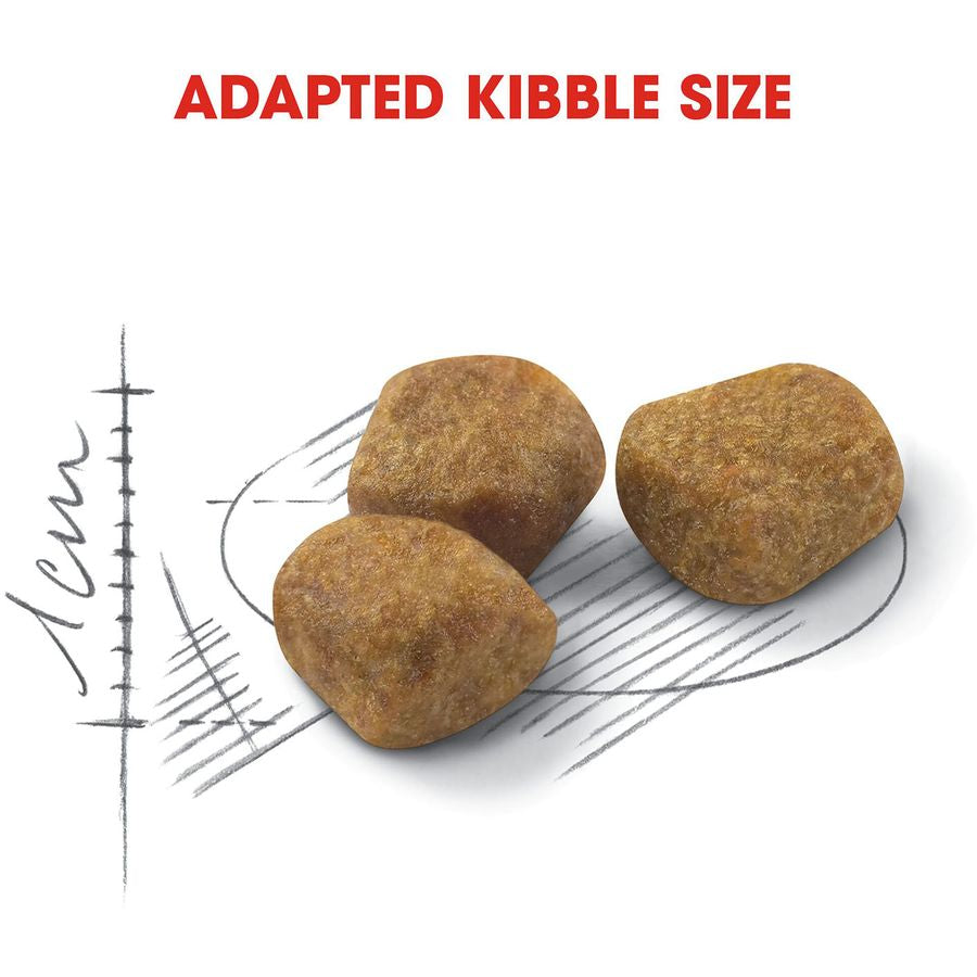 Royal Canin Indoor Adult 7+ Cat Dry Food 1.5kg