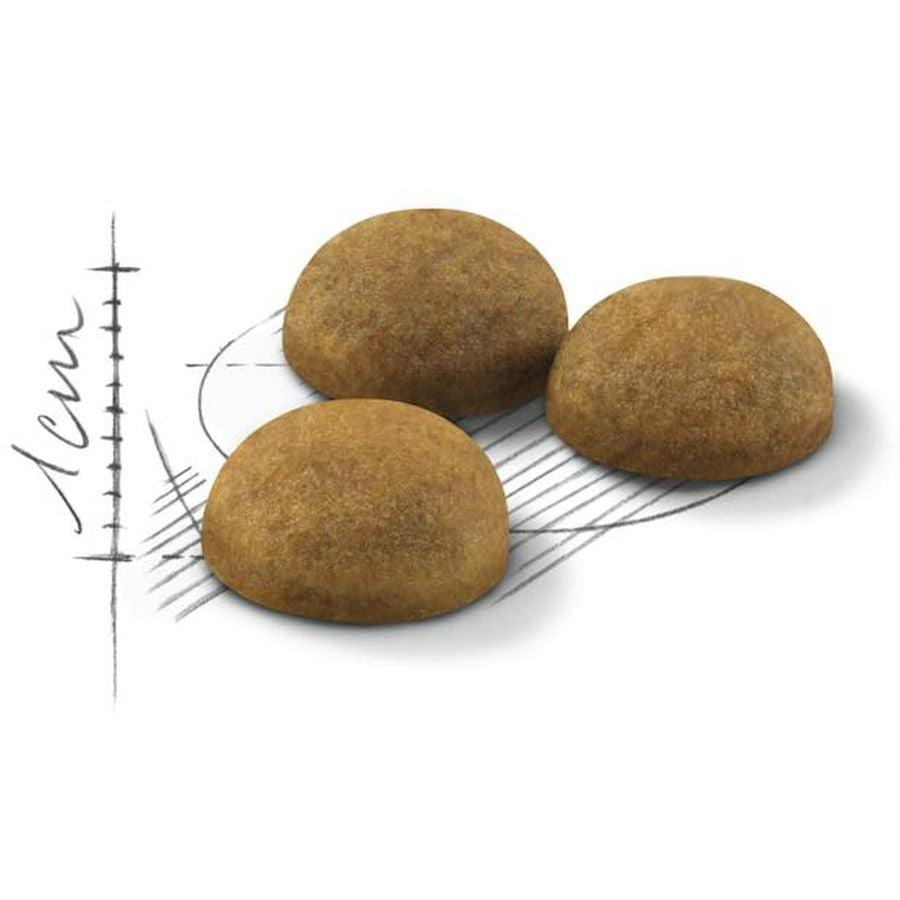 Royal Canin Indoor Long Hair Adult Cat Dry Food 2kg