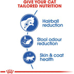 Royal Canin Indoor Long Hair Adult Cat Dry Food 2kg