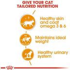 Royal Canin Intense Beauty Jelly Adult Cat Wet Food 85g