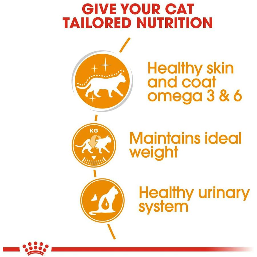 Royal Canin Intense Beauty Jelly Adult Cat Wet Food 85g