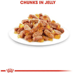 Royal Canin Kitten Instinctive Jelly Cat Wet Food 85g